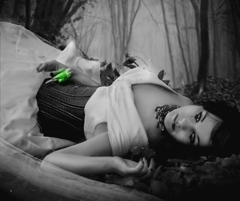 Woman Lying in Forest — Black, Dramatic