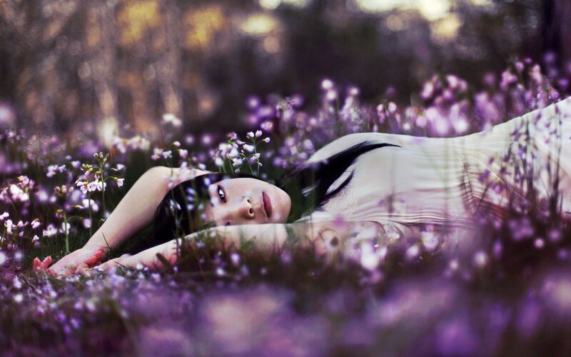 woman lying in purple flowers