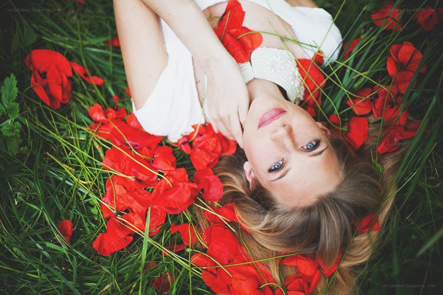 woman lying in red flowers