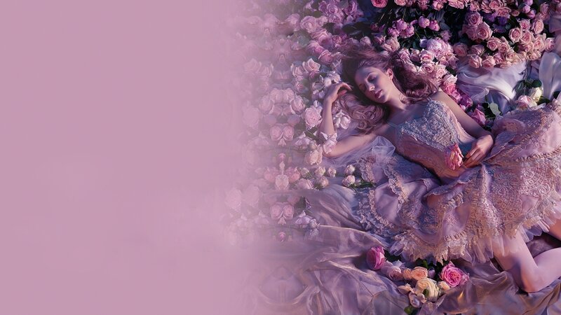 Woman Lying in Roses — Pink, Serene, Photograph