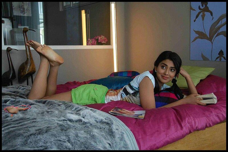 Woman Lying on Bed — Pink, Relaxed, Afternoon, Photograph, Book