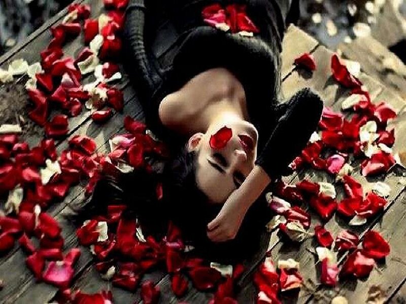 woman lying on rose petals