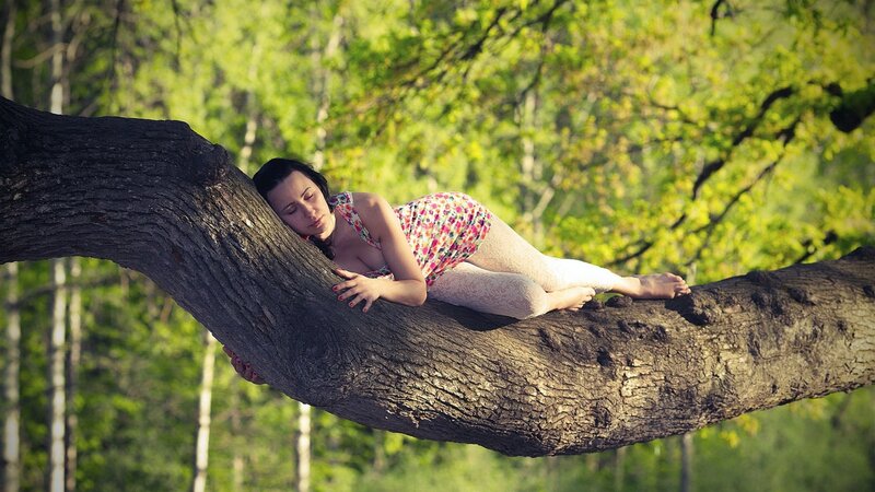 Woman Lying on Tree Branch — Green, Serene, Afternoon, Photograph