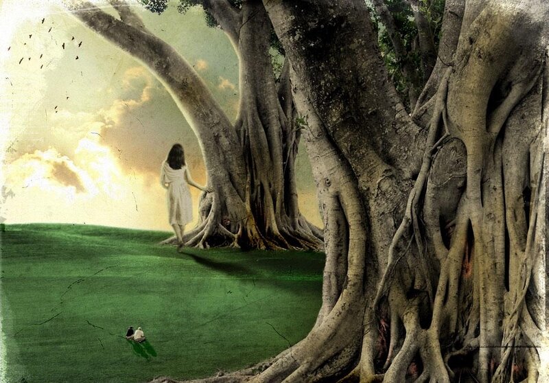 Woman Near Large Tree