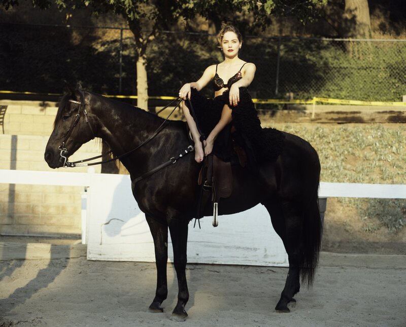 Woman on a black horse