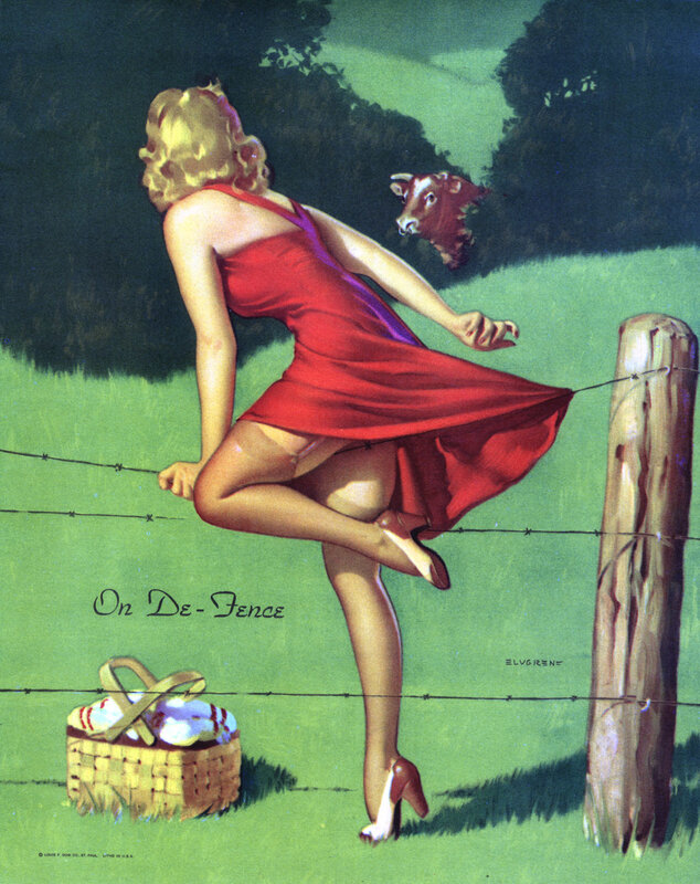 Woman on a Fence