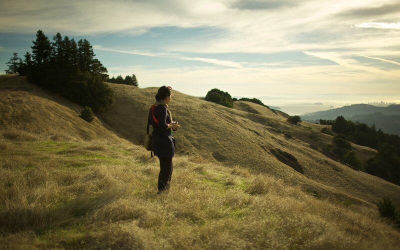 Woman on a Hillside — Brown, Serene