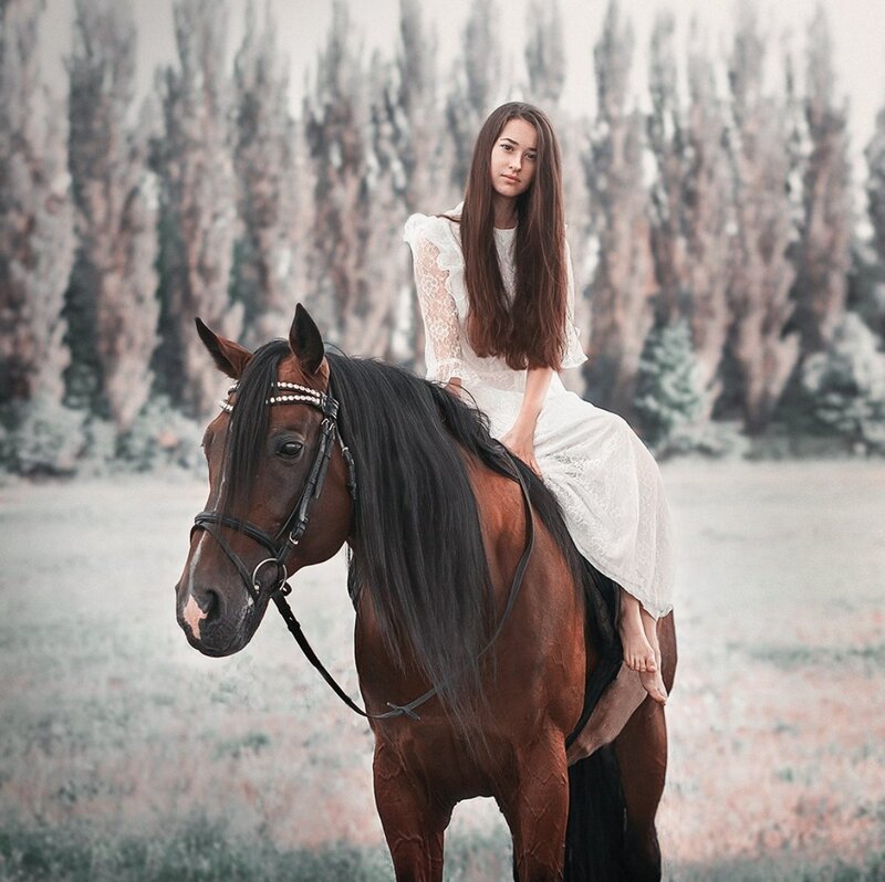 Woman on a Horse — Brown, Serene, Photograph