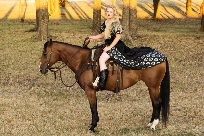 Woman on a Horse — Brown, Serene, Sunset, Photograph