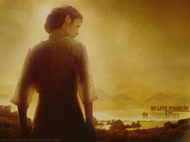 woman on a rocky shore