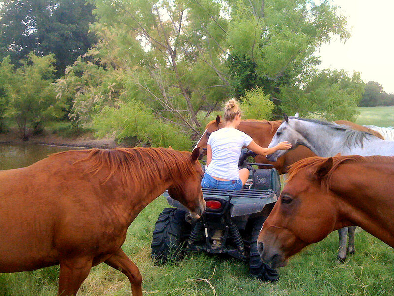 Woman on ATV with Horses