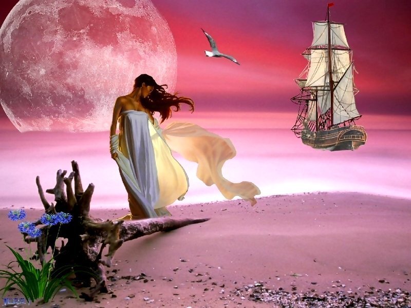 woman on beach with ship