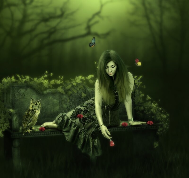 Woman on Bench in Forest — Green