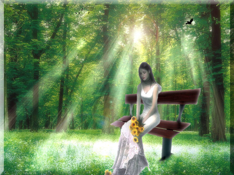 Woman on Bench in Forest
