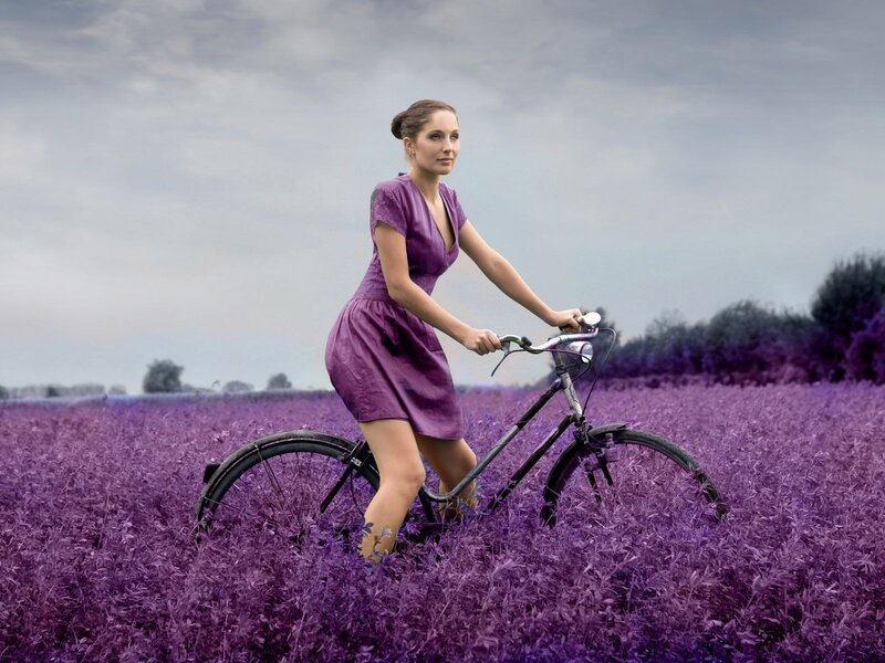 Woman on bicycle in purple field