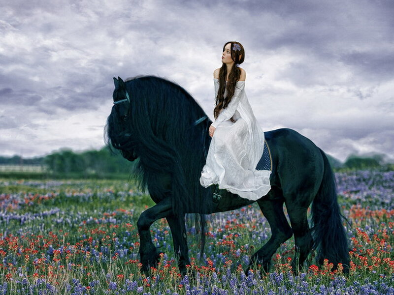Woman on Black Horse — Dramatic, Afternoon