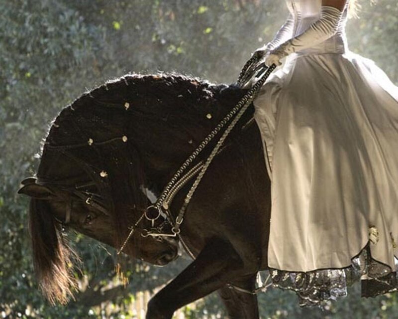 Woman on Black Horse — Dramatic