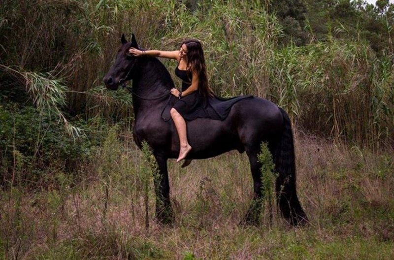 Woman on Black Horse — Serene, Afternoon, Photograph