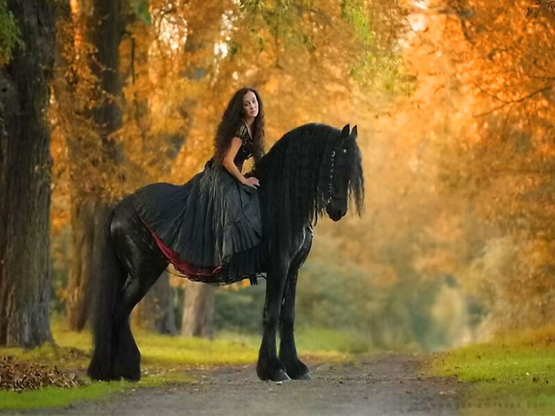 Woman on Black Horse — Serene