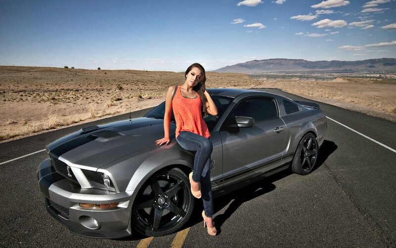 Woman on Car Hood — Gray