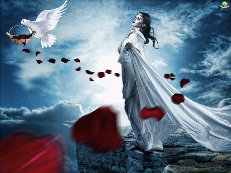 Woman on Cliff with Dove