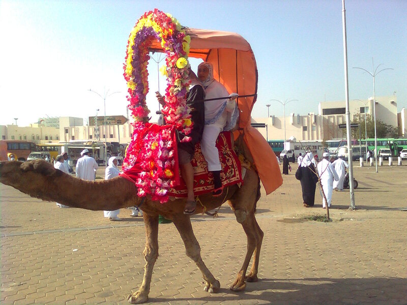 Woman on Decorated Camel