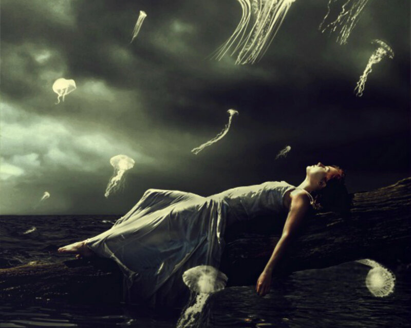 Woman on Driftwood — Gray