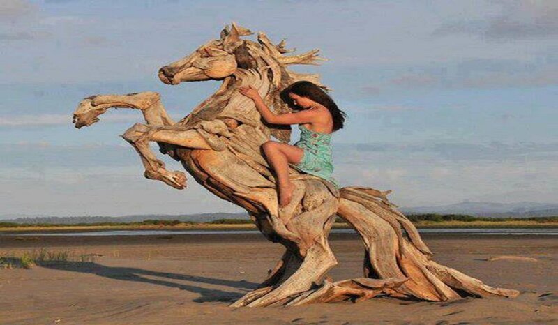 Woman on Driftwood Horse