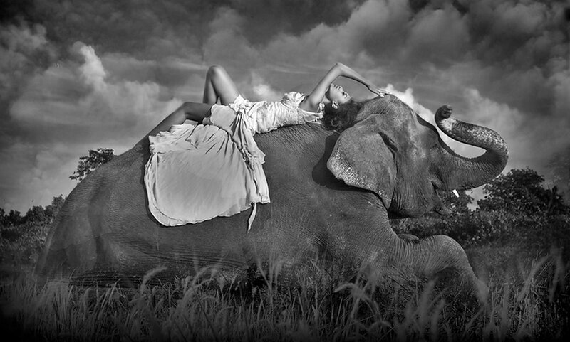 Woman on Elephant — Black