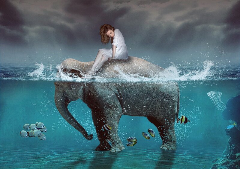 Woman on Elephant — Blue, Dramatic