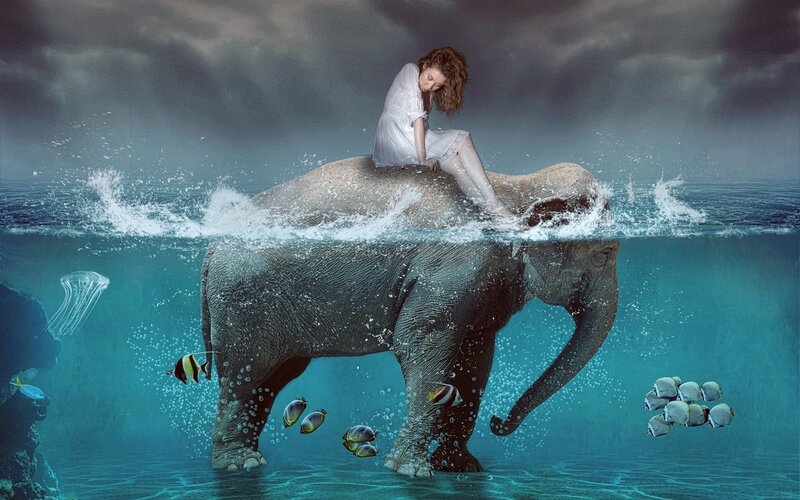 Woman on Elephant — Blue