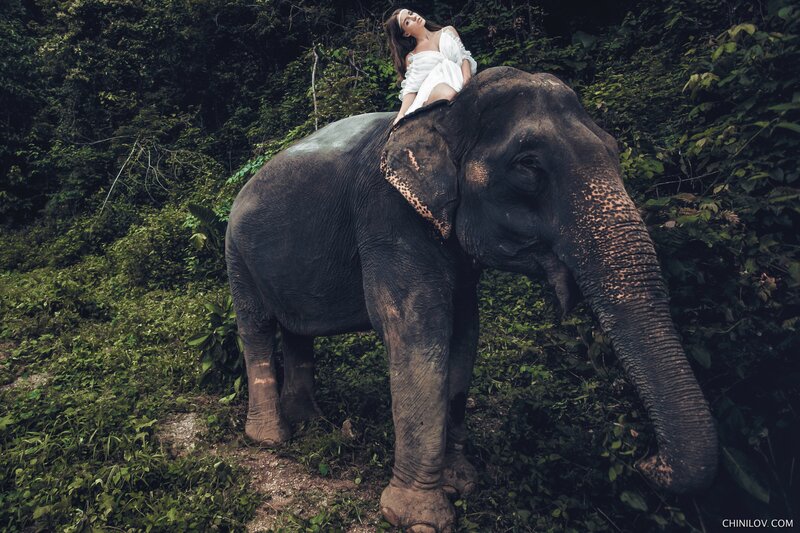 Woman on Elephant — Green, Dramatic