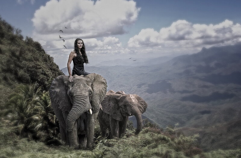 Woman on Elephant — Green