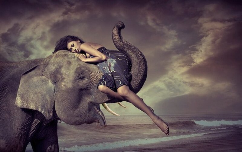 Woman on Elephant