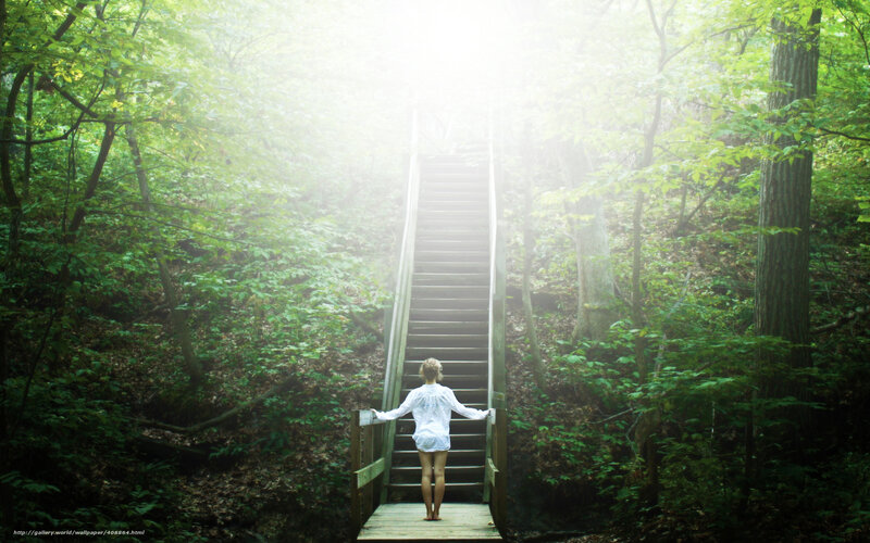Woman on forest stairs