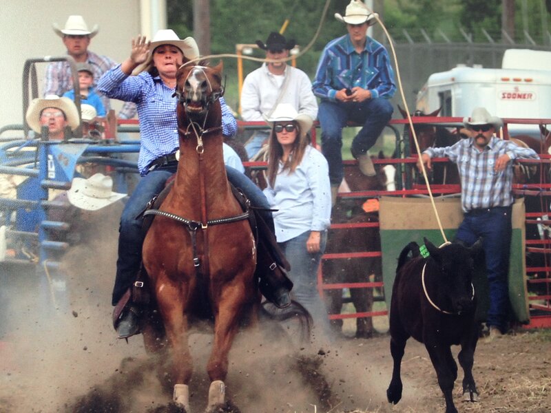Woman on Horse Chasing Calf