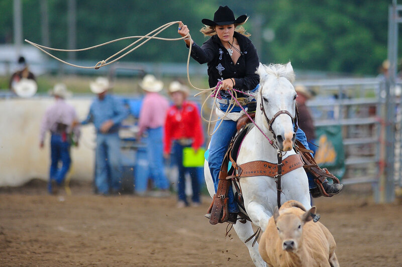 Woman on Horse Lassoing Calf