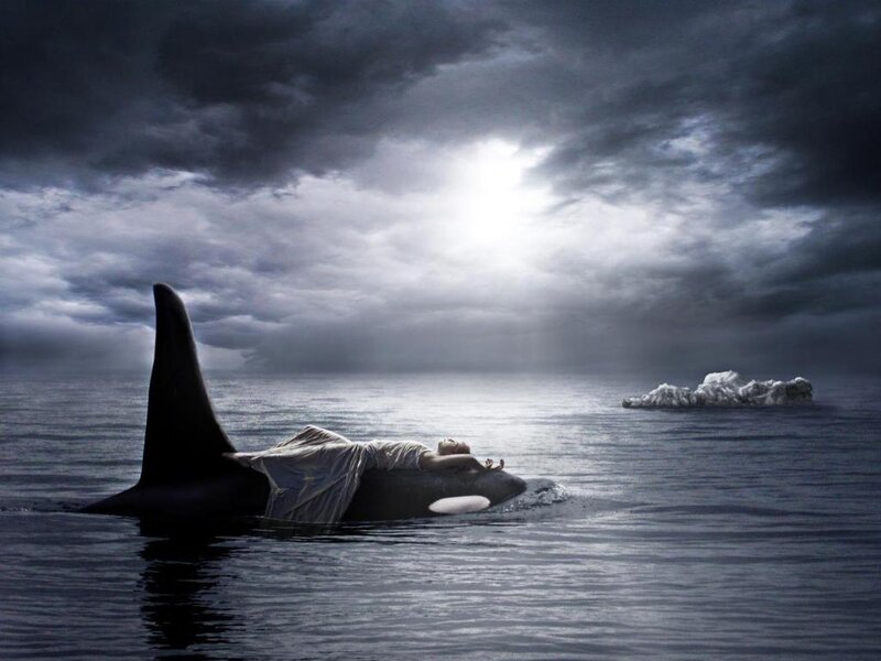 Woman on Orca Whale