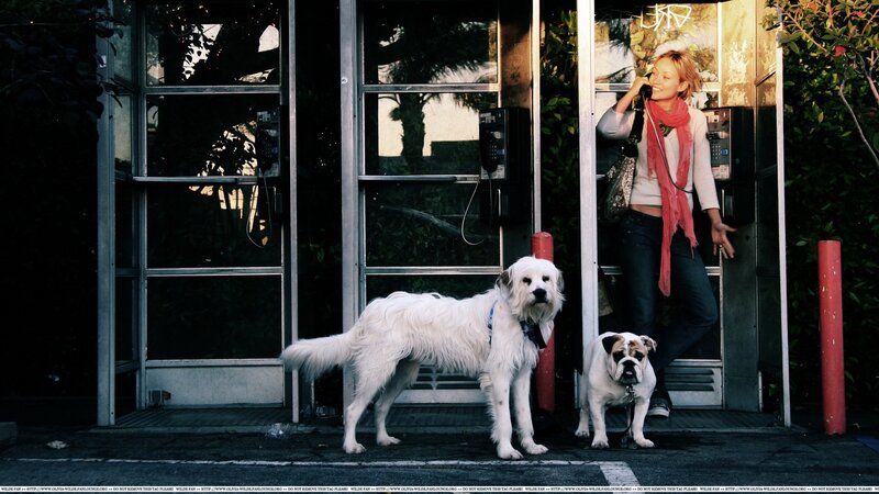 Woman on phone with two dogs