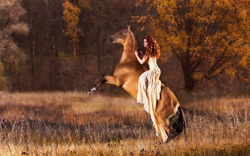 Woman on Rearing Horse — Brown