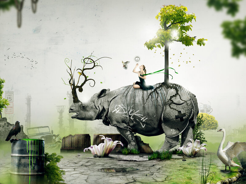 Woman on Rhino