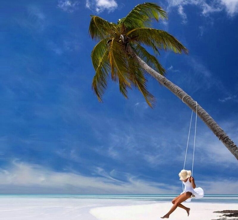 Woman on Swing under Palm