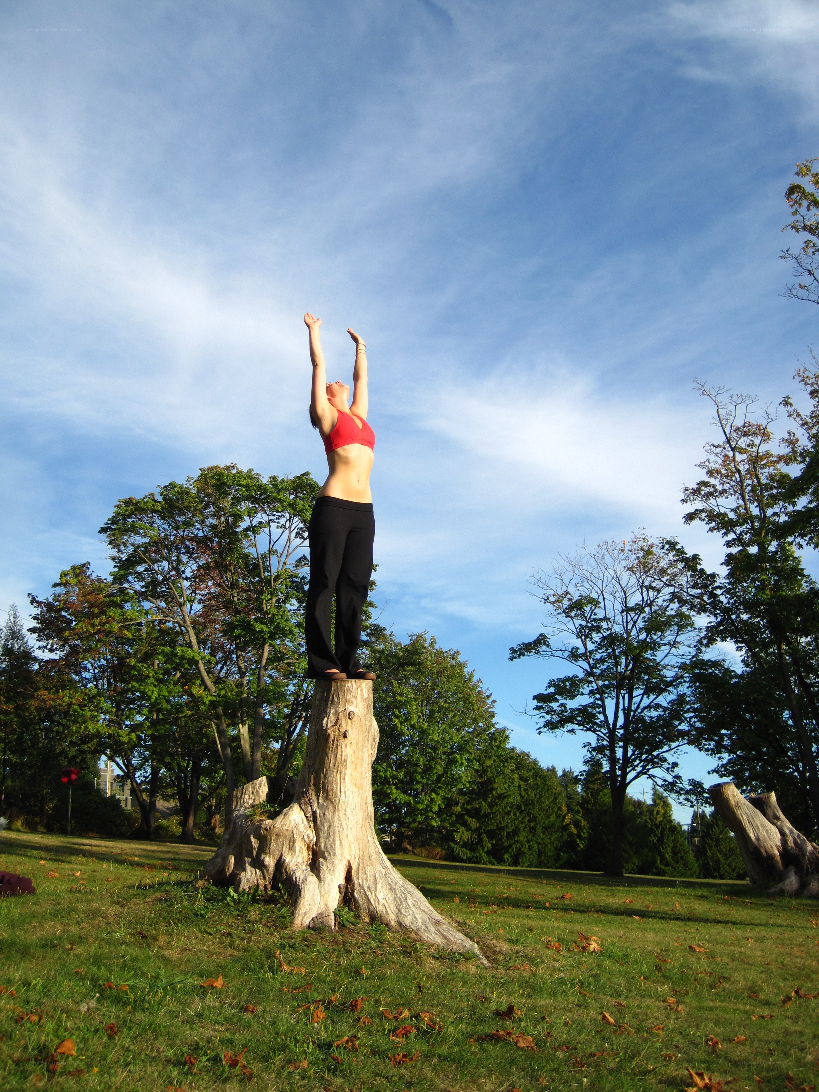 woman on tree stump stretching