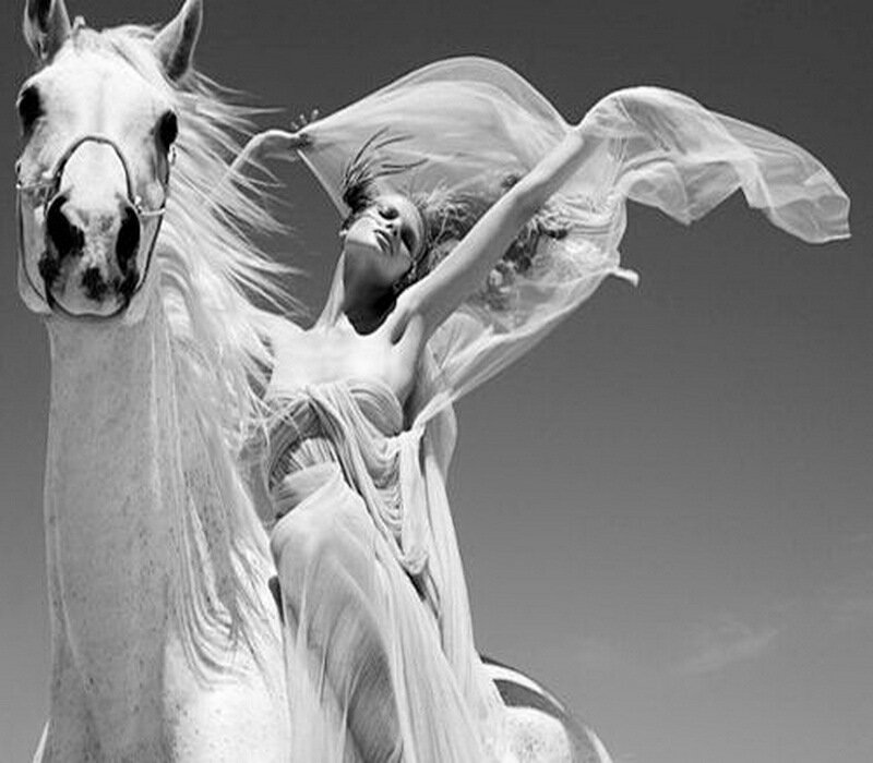 woman on white horse in wind