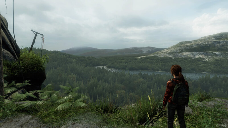Woman Overlooking Valley — Green