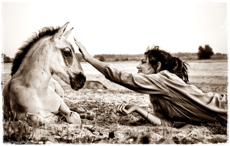 Woman Petting a Foal
