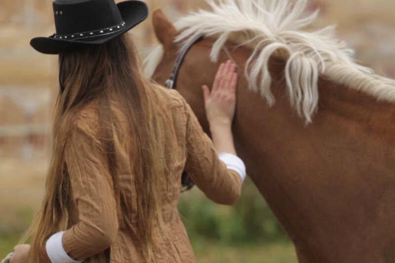 woman petting a horse