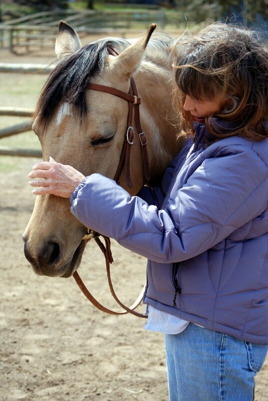 Woman petting a horse