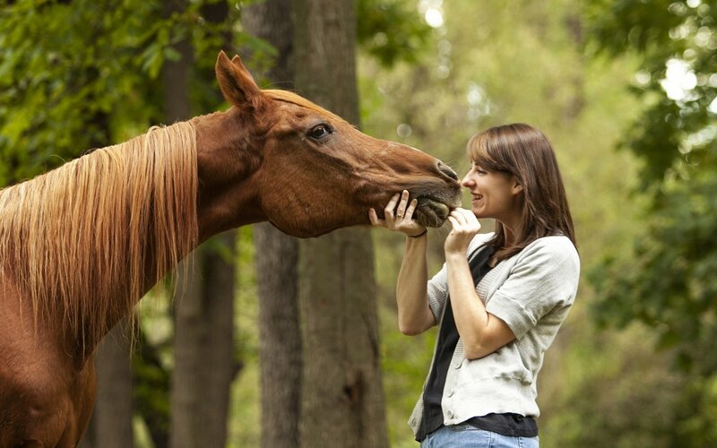 woman petting a horse