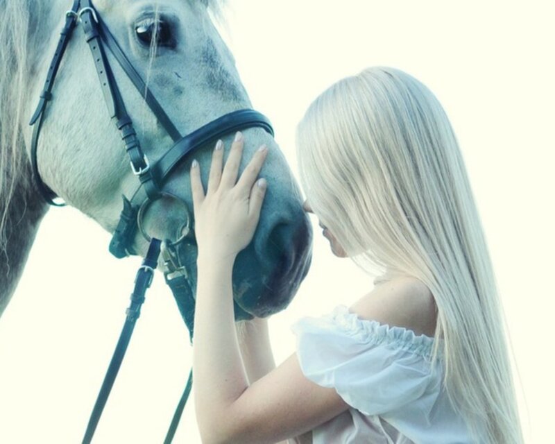 woman petting a horse